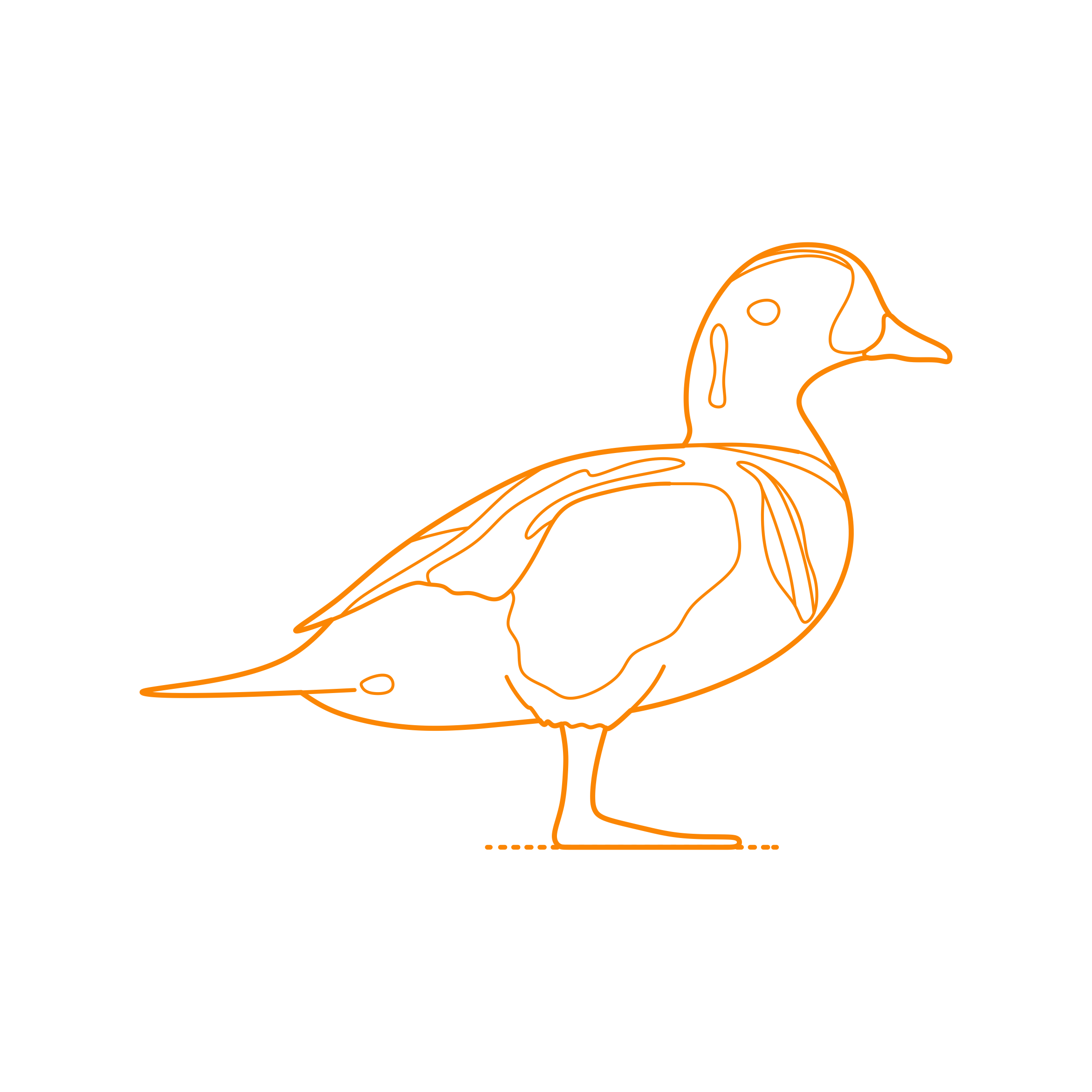 Animals Waterfowl Harlequin Duck Sticker Outline Svg File Free Vectors